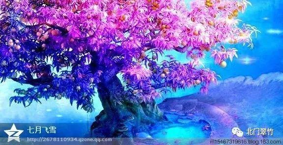 小猫钓鱼游戏龙王版有船